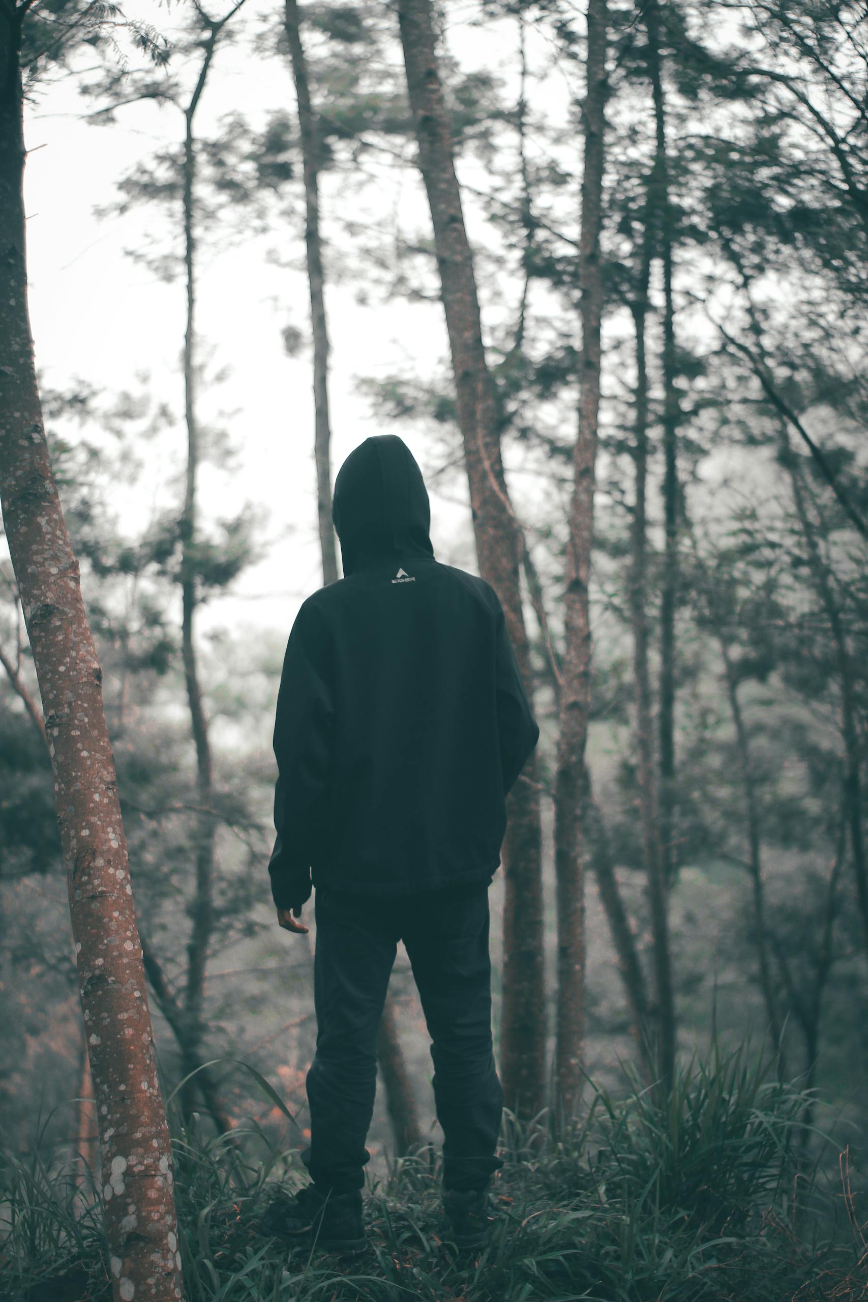 A lone hiker stands in a foggy forest, embracing solitude amidst nature.